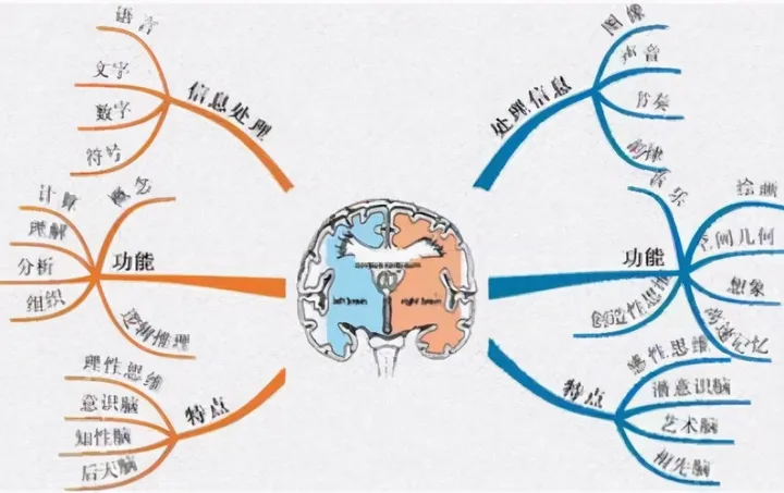 kaiyun-麻省理工最新研究：父母多和娃聊天，能让大脑发育更好，更聪明
